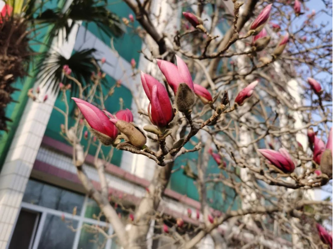 微信截图_20220314091430.png