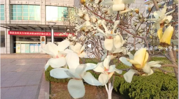 微信截图_20220314095738.png