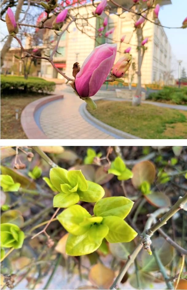 微信截图_20220314095645.png