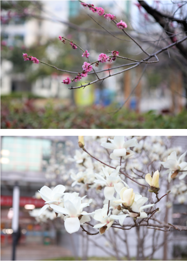 微信截图_20220314095657.png