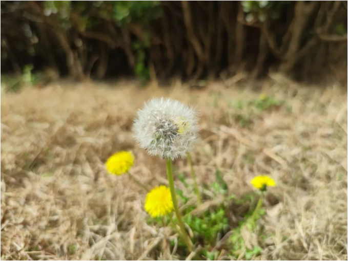 微信截图_20220316085908.png
