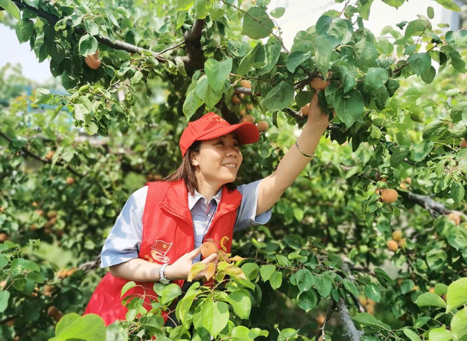 微信截图_20220525102502.png