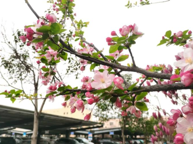 微信截图_20230419075654.jpg