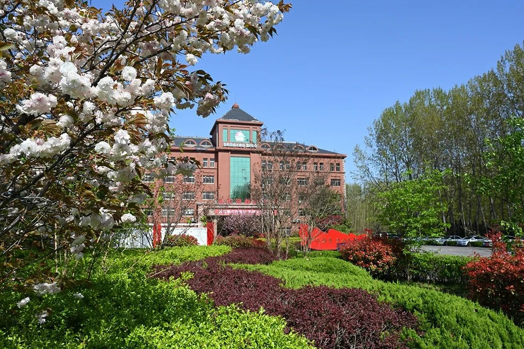 05.jpg